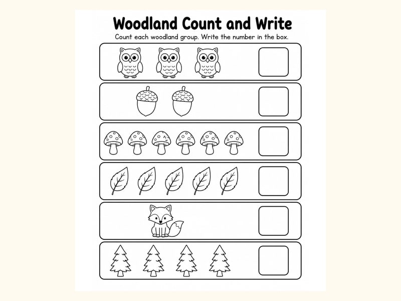 Woodland Count and Write Worksheet printable preview